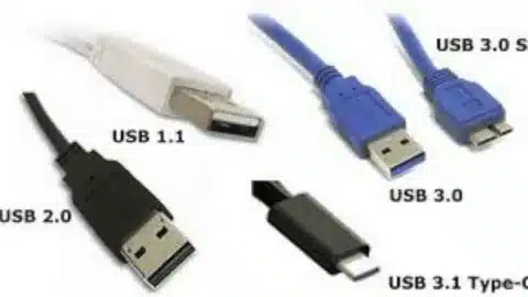 “Image showing USB 1.1, USB 2.0, USB 3.0, and USB 3.1 Type-C connectors side by side.”