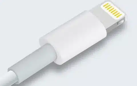 “Detailed view of Lightning connector showing gold contacts.”