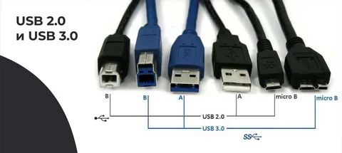 Multiple USB connector types showing differences between USB 2 and USB 3 standards.