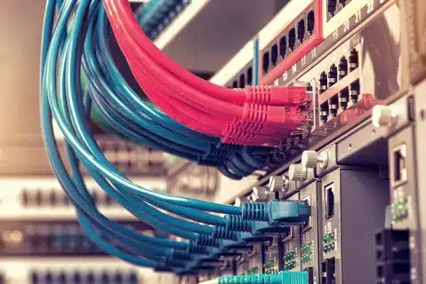 multiple Ethernet data cables plugged into network switch ports for internet connection