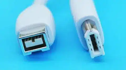 Macro view of FireWire and USB connectors highlighting port design differences