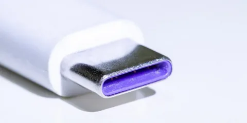 detailed image of USB-C charging connector with purple insert