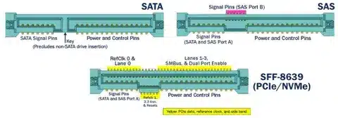 Detailed diagram comparing SAS and SATA connectors including power and signal pins