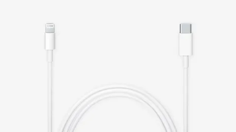long white USB-C to Lightning cable with connectors on both ends
