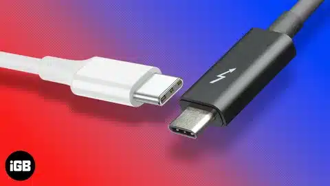 close-up of USB-C connector versus Thunderbolt connector on colored background