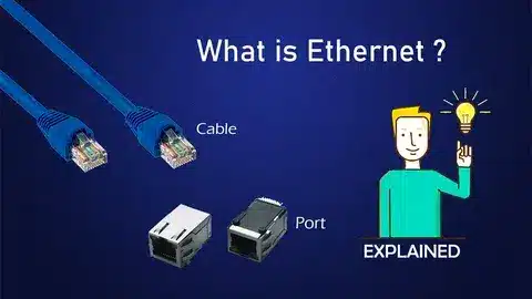 Illustration explaining Ethernet cable, connector, and port functions